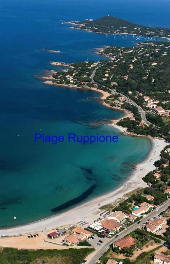 Vue Mer Panoramique Plage 50M Porticcio Corse Esterno foto