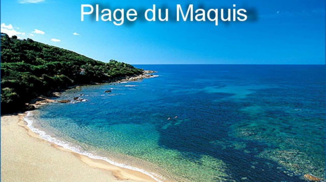 Vue Mer Panoramique Plage 50M Porticcio Corse Esterno foto
